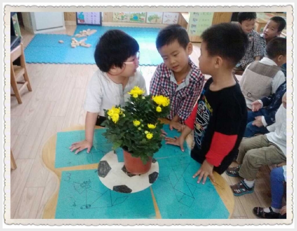 qqͼƬ20131014094931_.jpg