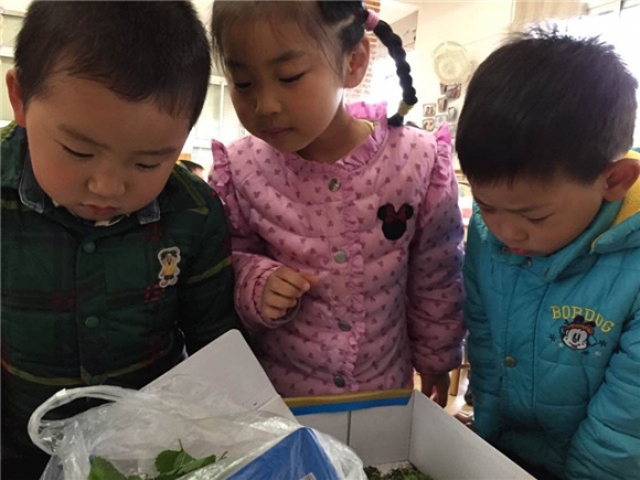 QQ图片20150424132847.jpg