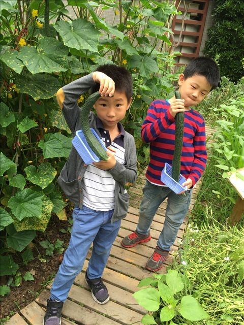 2015.5.28菜园加讲故事IMG_4207.JPG