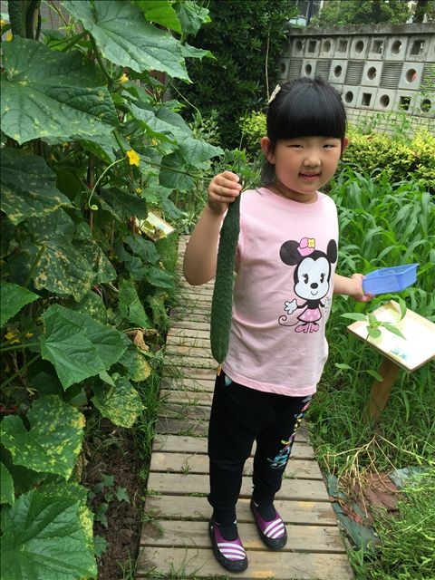 2015.5.28菜园加讲故事IMG_4204.JPG