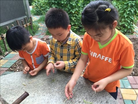 2015.5.28菜园加讲故事IMG_4216.JPG