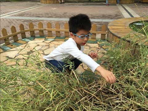 2015.5.28菜园加讲故事IMG_4212.JPG