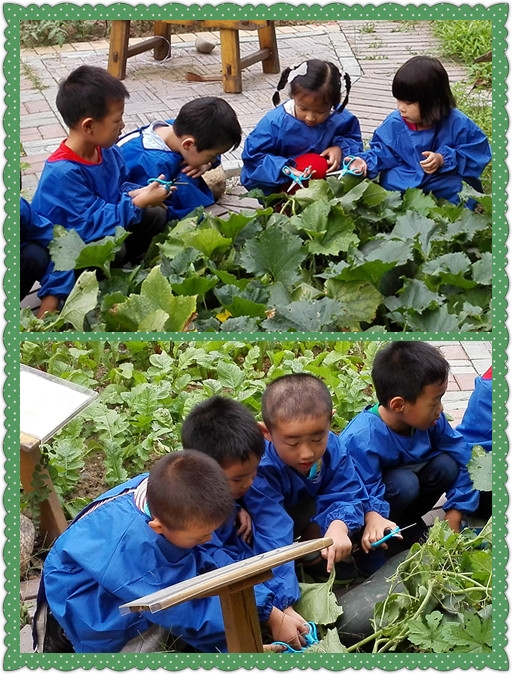 IMG_20150914_152530_副本.jpg