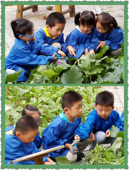 IMG_20150914_152228_副本.jpg