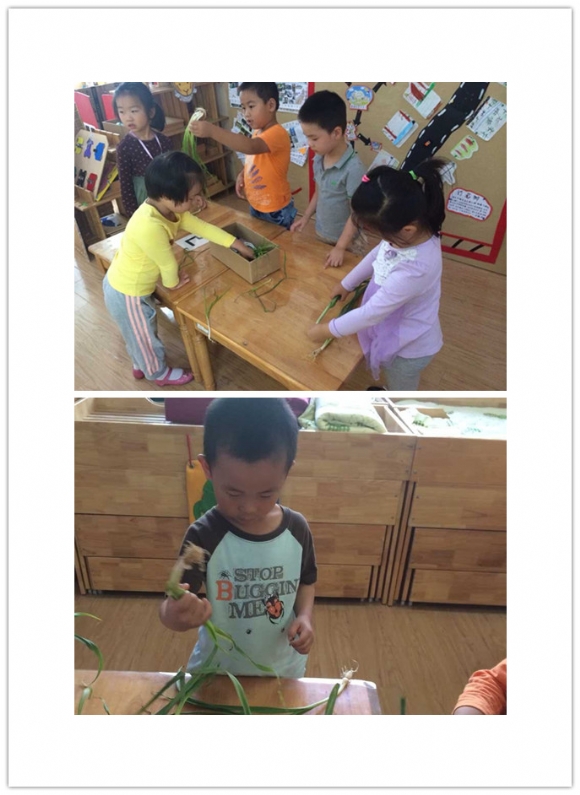QQ图片20150922162754_副本.jpg