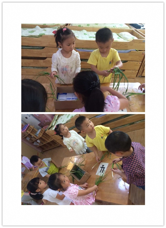 QQ图片20150922162745_副本.jpg
