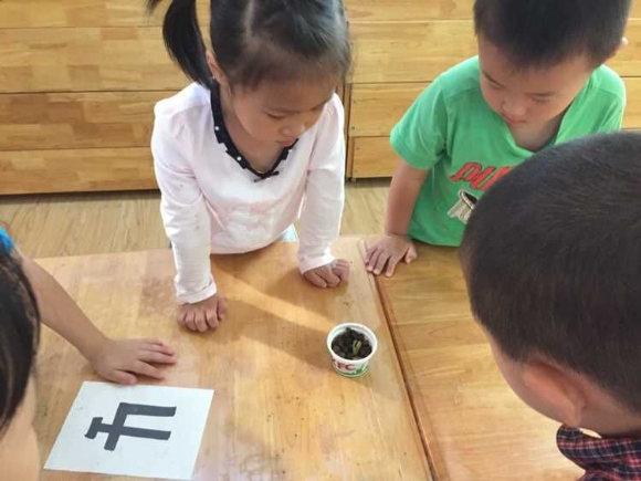 QQ图片20150917154745.jpg