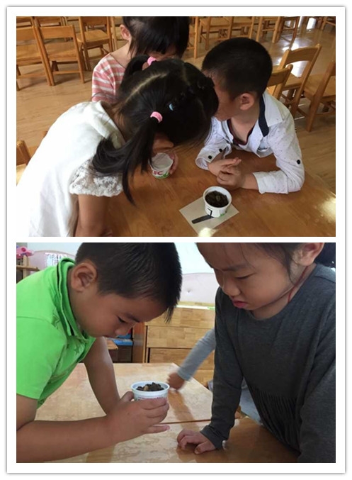 QQ图片20150917154654_副本.jpg