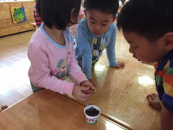 QQ图片20150917154808.jpg