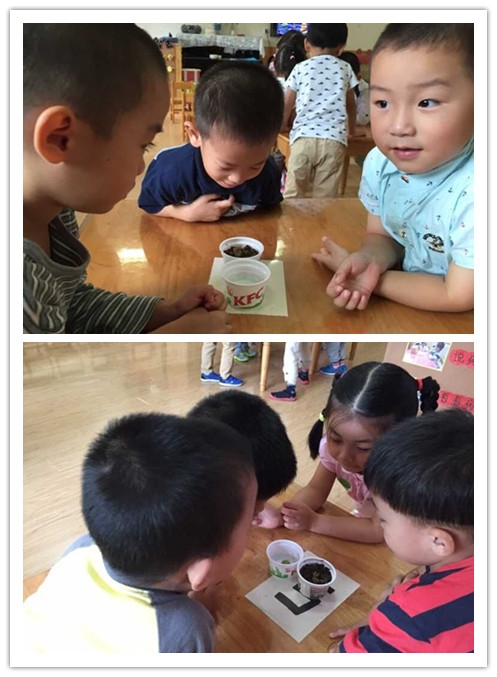 QQ图片20150917154640_副本.jpg