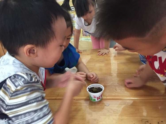 QQ图片20150917154702.jpg