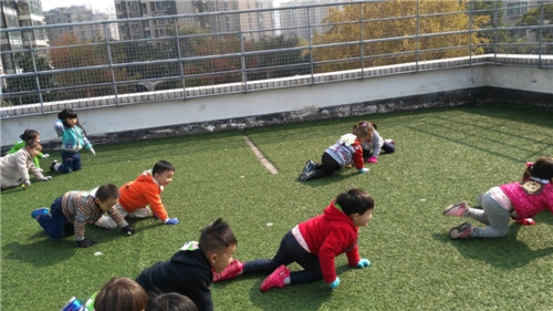 IMG_20151110_103315.jpg
