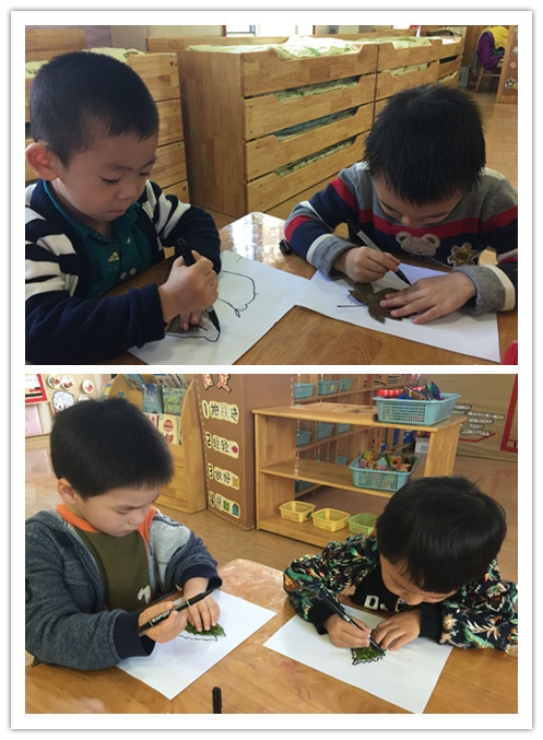 ������QQ图片20151116164503_副本.jpg