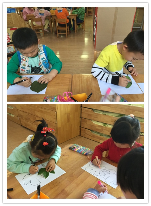 ������QQ图片20151116164439_副本.jpg