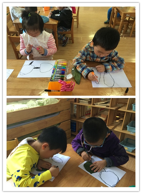 ������QQ图片20151116164517_副本.jpg