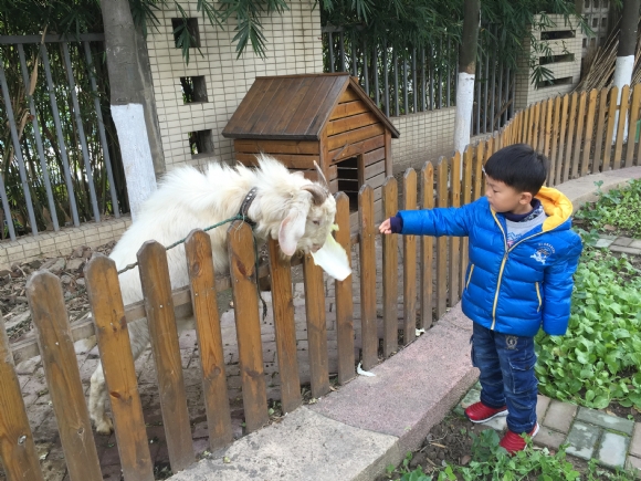 ������IMG_1050.JPG