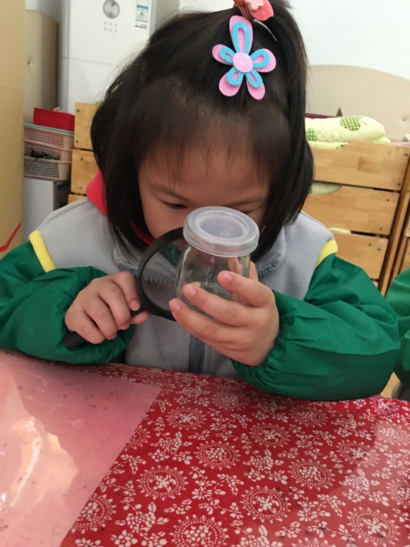 ������IMG_1131.JPG