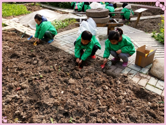 IMG_20160325_094515_meitu_7.jpg