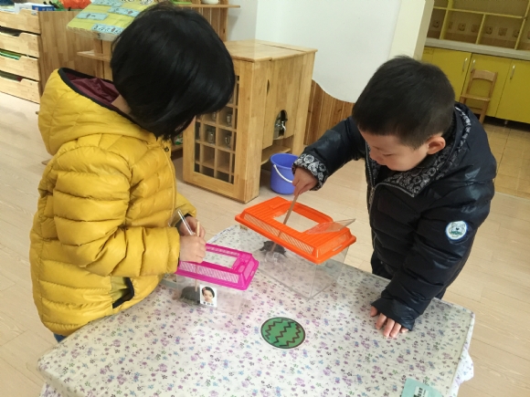 ������IMG_7629.JPG