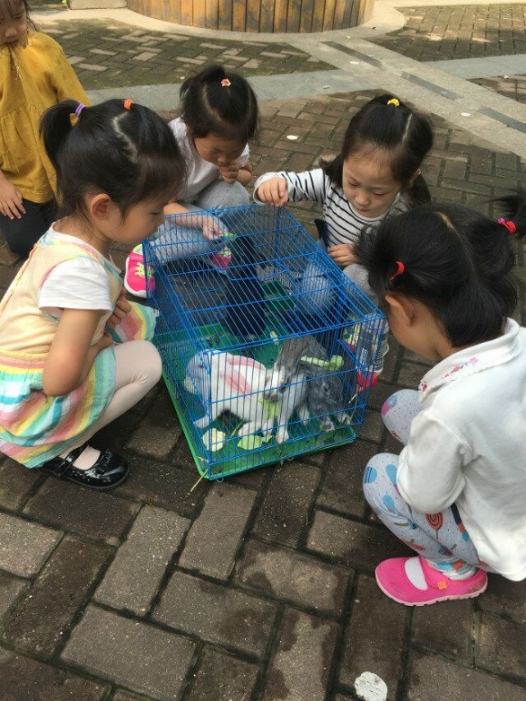QQͼƬ20160602124405.jpg