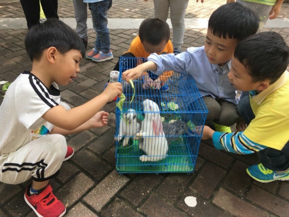 QQͼƬ20160602124418.jpg