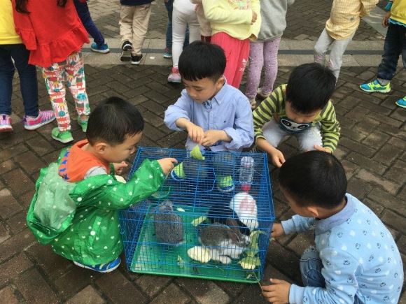 QQͼƬ20160602124501.jpg