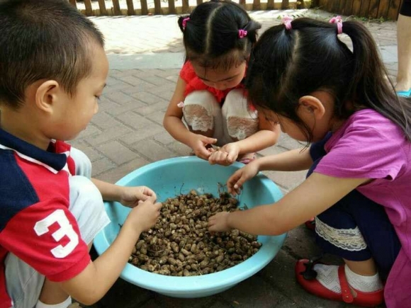 花生5.jpg