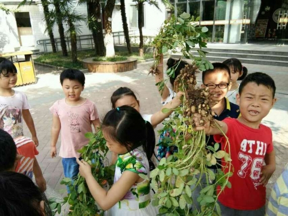 花生4.jpg