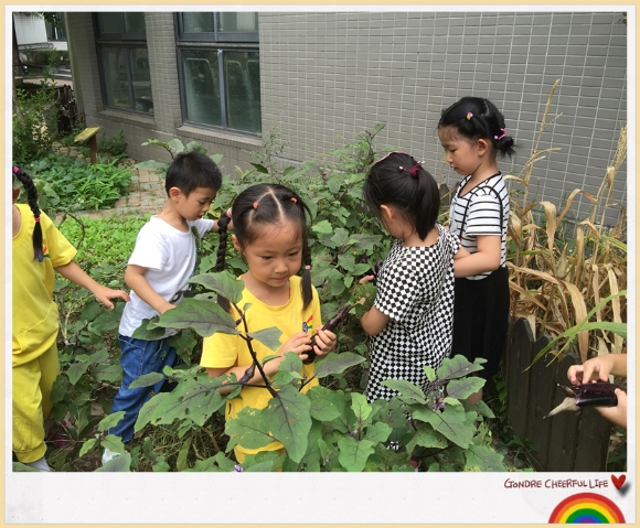 ������IMG_2974_副本.jpg