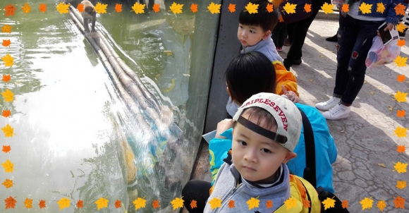 IMG_20161115_100510.jpg