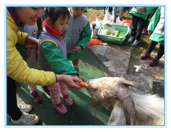 QQ图片20161129175311.jpg
