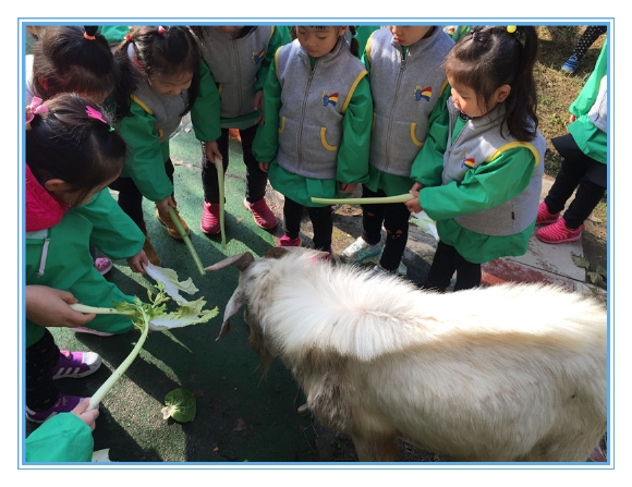 QQ图片20161129175237.jpg