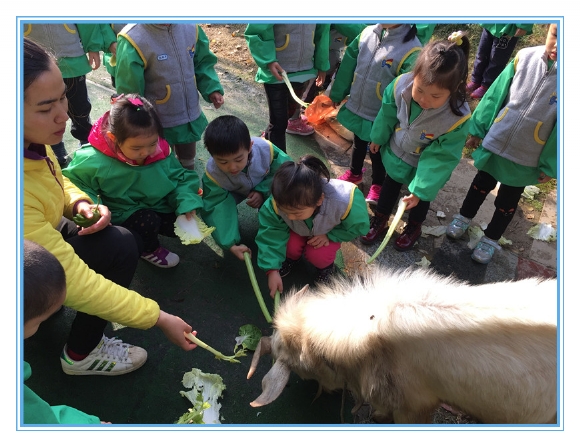 QQ图片20161129175250.jpg