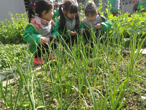 IMG_20170306_101014.jpg