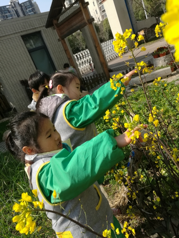 IMG_20170306_100952.jpg