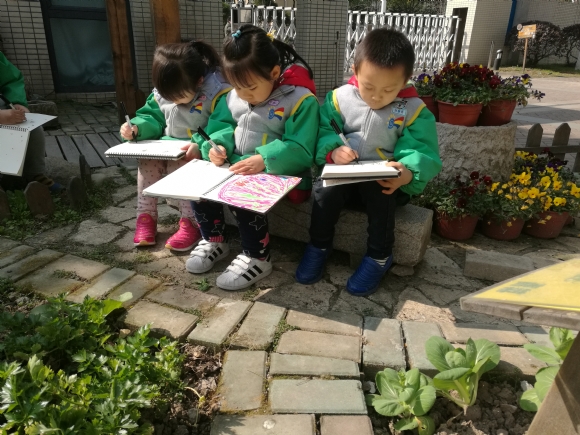 IMG_20170306_102039.jpg