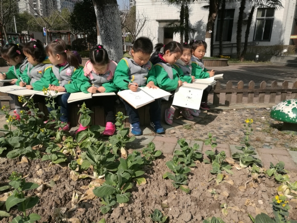 IMG_20170306_102034.jpg
