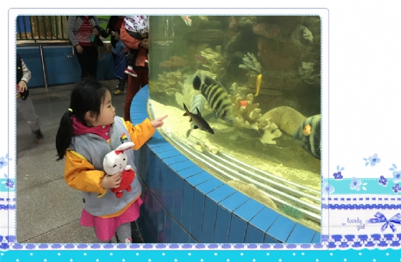 IMG_8247_副本.jpg