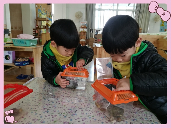 IMG_20170316_104007_副本.jpg