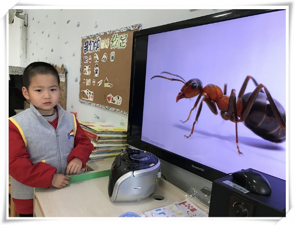 QQ图片20170323121330.jpg