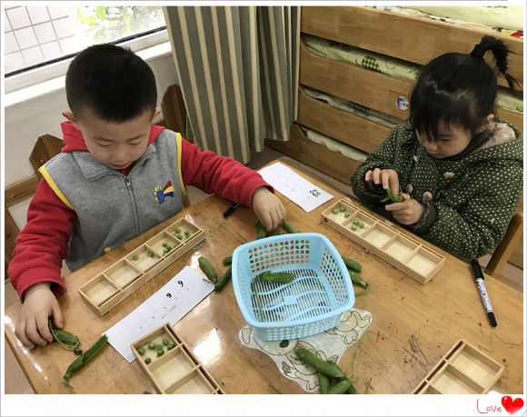 QQ图片20170505094124.jpg