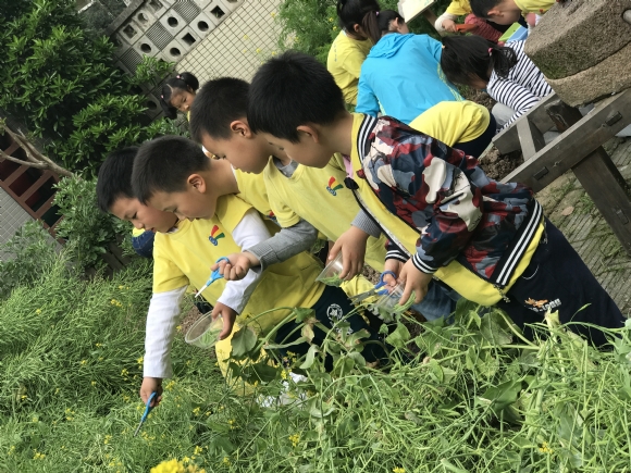 ������΢��ͼƬ_20170512112529.jpg