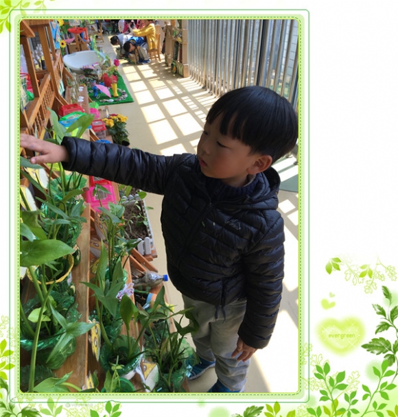 ������IMG_8699.JPG