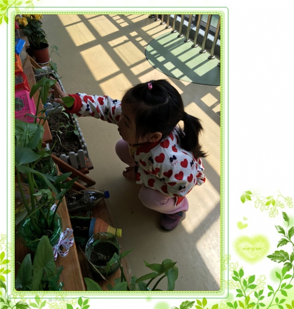 ������IMG_8706.JPG