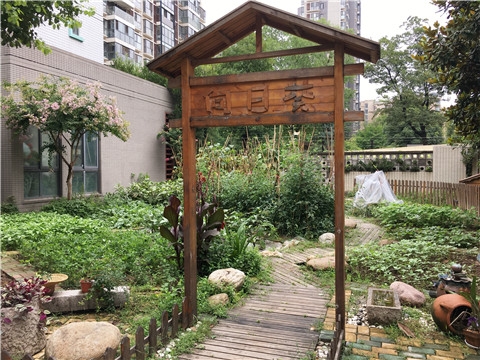 ������微信图片_20170710101610_副本.jpg