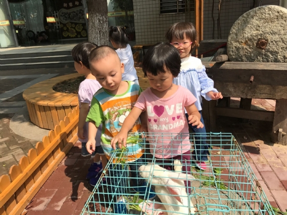 QQͼƬ20170912132829.jpg