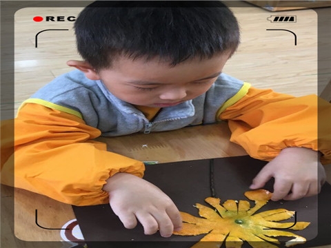 ������QQͼƬ20171106133527_����.jpg