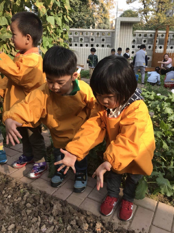 ������微信图片_201711081640261.jpg