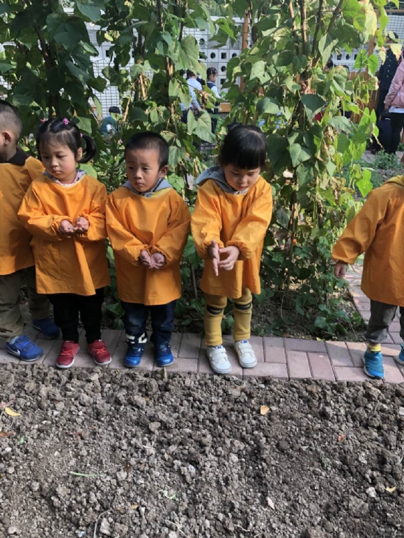 ������微信图片_201711081640587.jpg