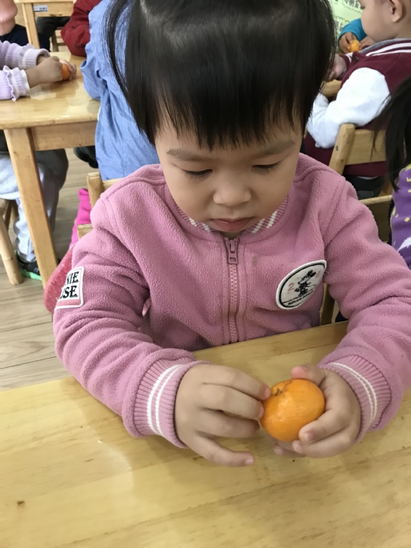 ������IMG_1381.JPG